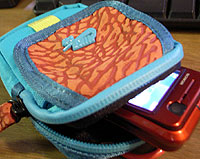 case_1229.jpg