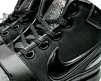 lebron6_001_1220.jpg