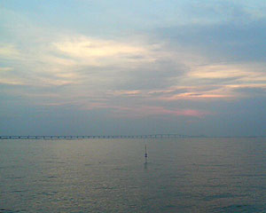 rice_0514_4.jpg