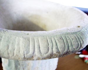 rice_atq_0424_2.jpg