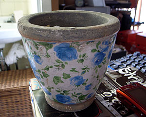 riceanq_0514_1.jpg