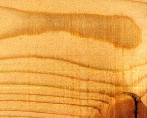 watco_0905.jpg